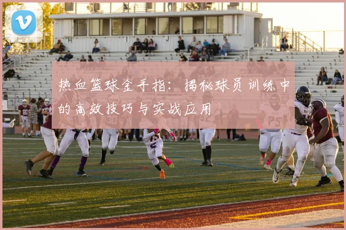 热血篮球金手指:揭秘球员训练中的高效技巧与实战应用