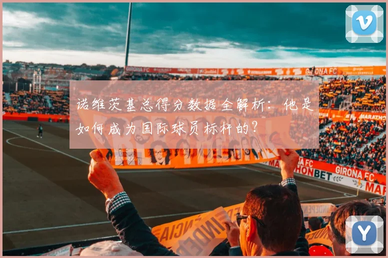 诺维茨基总得分数据全解析：他是如何成为国际球员标杆的？