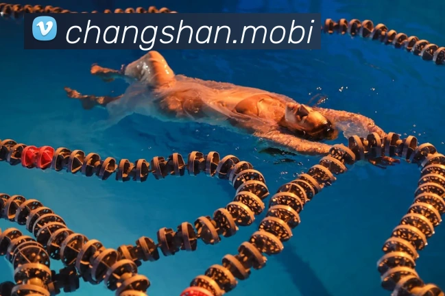 开云app网站登录发展历程